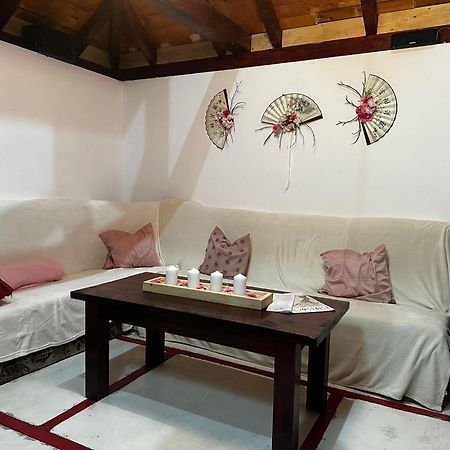 锡吉什瓦拉 Casa Lily - Japanese Retreat酒店 外观 照片