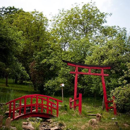 锡吉什瓦拉 Casa Lily - Japanese Retreat酒店 外观 照片
