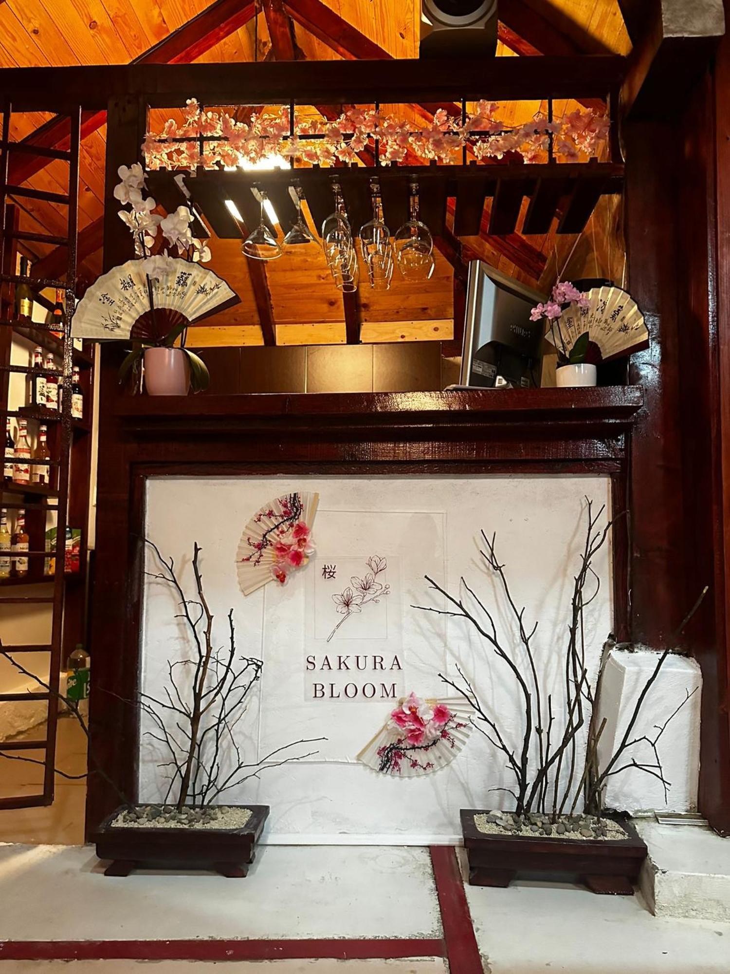 锡吉什瓦拉 Casa Lily - Japanese Retreat酒店 外观 照片