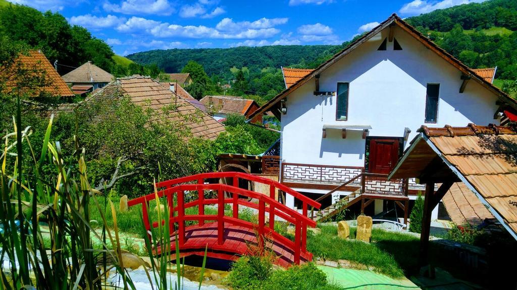 锡吉什瓦拉 Casa Lily - Japanese Retreat酒店 外观 照片