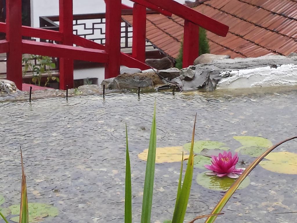 锡吉什瓦拉 Casa Lily - Japanese Retreat酒店 外观 照片