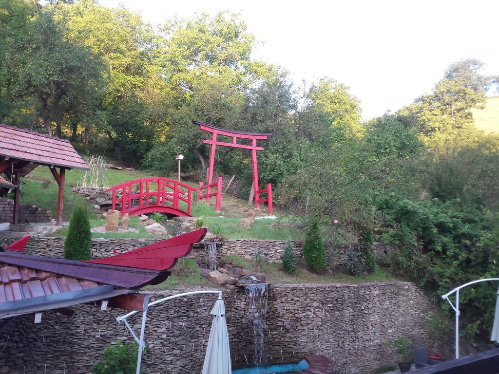 锡吉什瓦拉 Casa Lily - Japanese Retreat酒店 外观 照片
