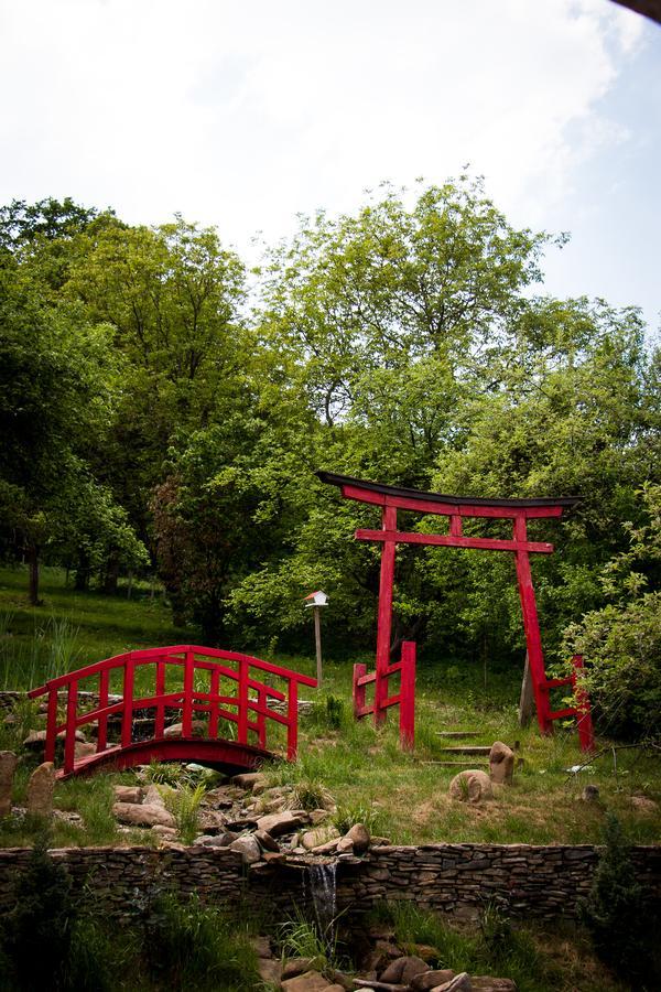 锡吉什瓦拉 Casa Lily - Japanese Retreat酒店 外观 照片