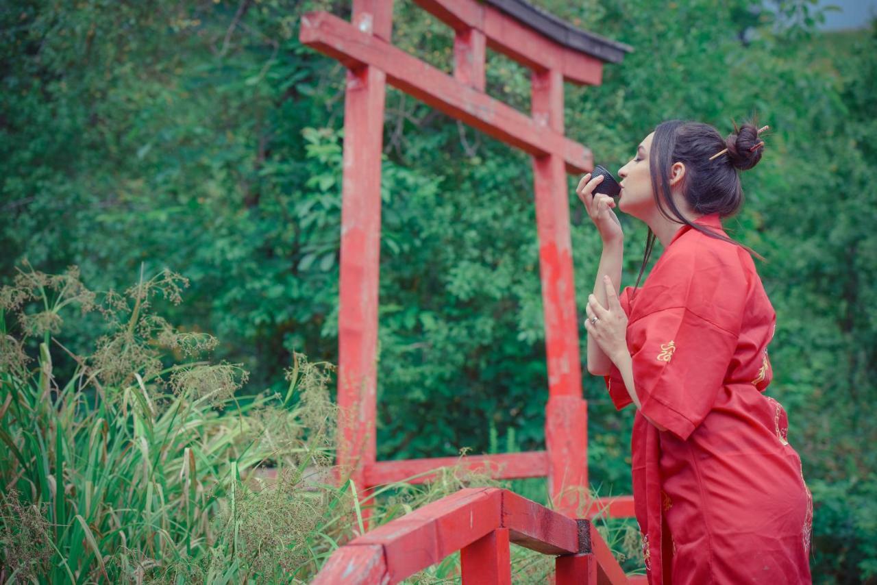 锡吉什瓦拉 Casa Lily - Japanese Retreat酒店 外观 照片