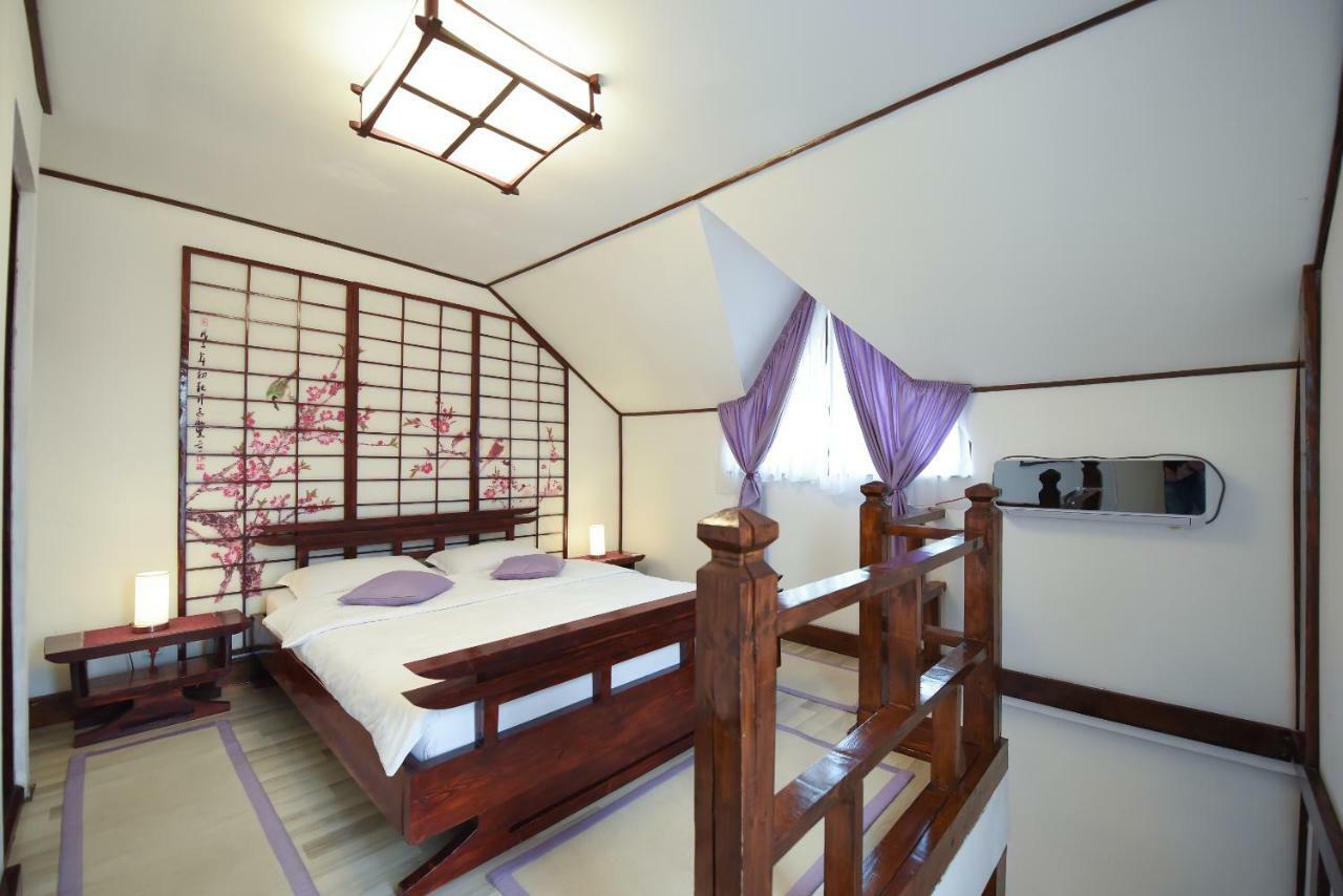 锡吉什瓦拉 Casa Lily - Japanese Retreat酒店 外观 照片