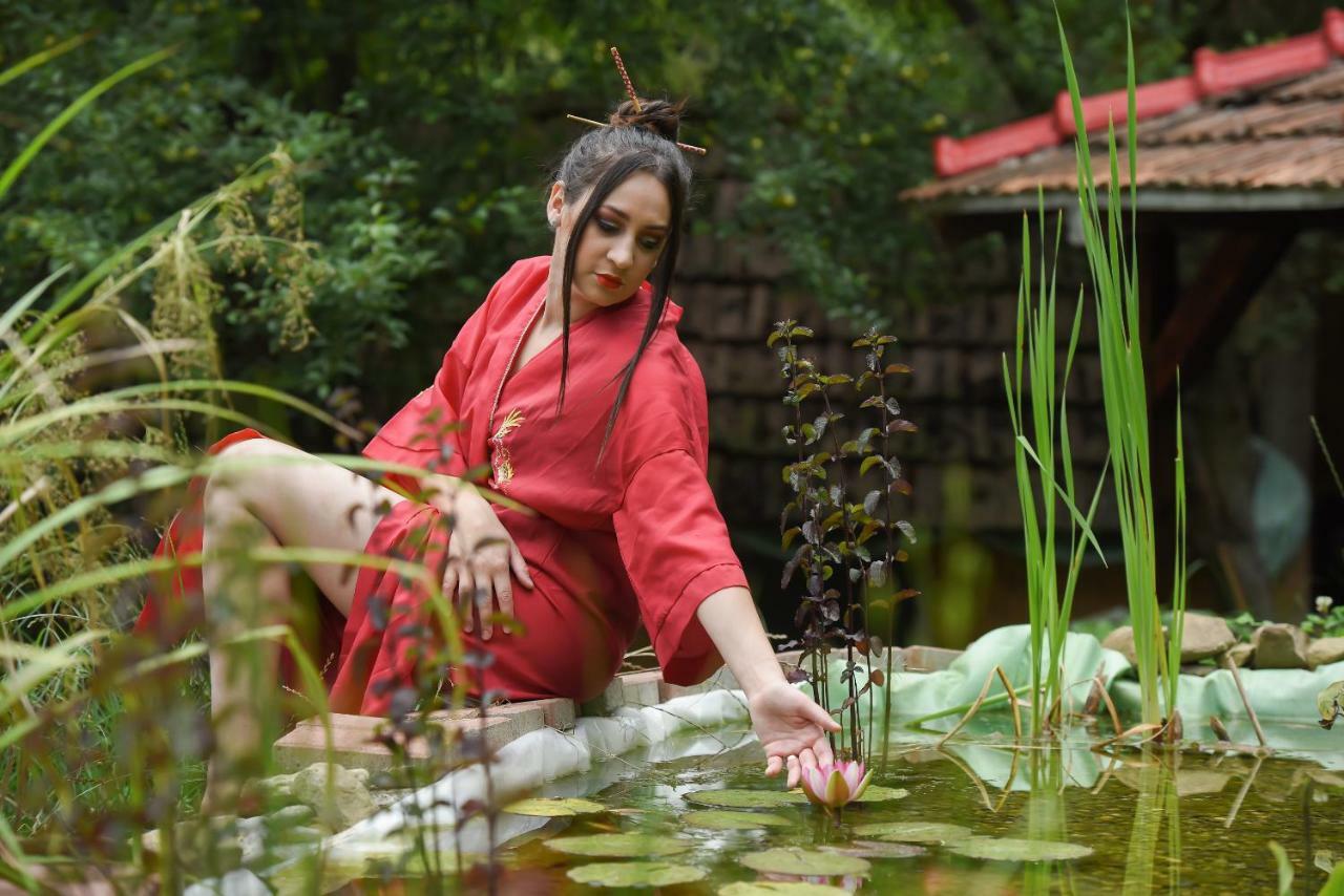 锡吉什瓦拉 Casa Lily - Japanese Retreat酒店 外观 照片