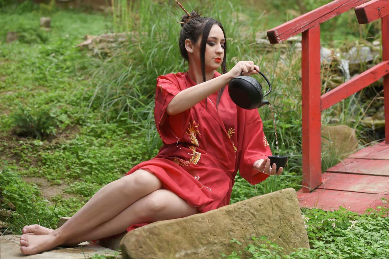 锡吉什瓦拉 Casa Lily - Japanese Retreat酒店 外观 照片