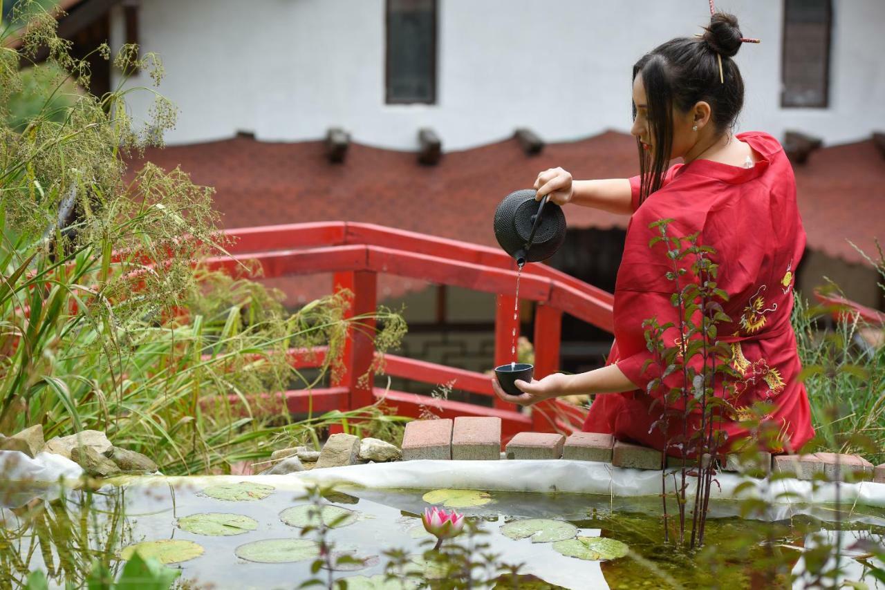 锡吉什瓦拉 Casa Lily - Japanese Retreat酒店 外观 照片